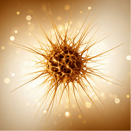 Neural network background